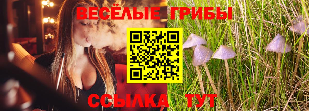 Соликамск  Галлюциногенные грибы Psilocybine cubensis  купить закладку  Вход с VPN 